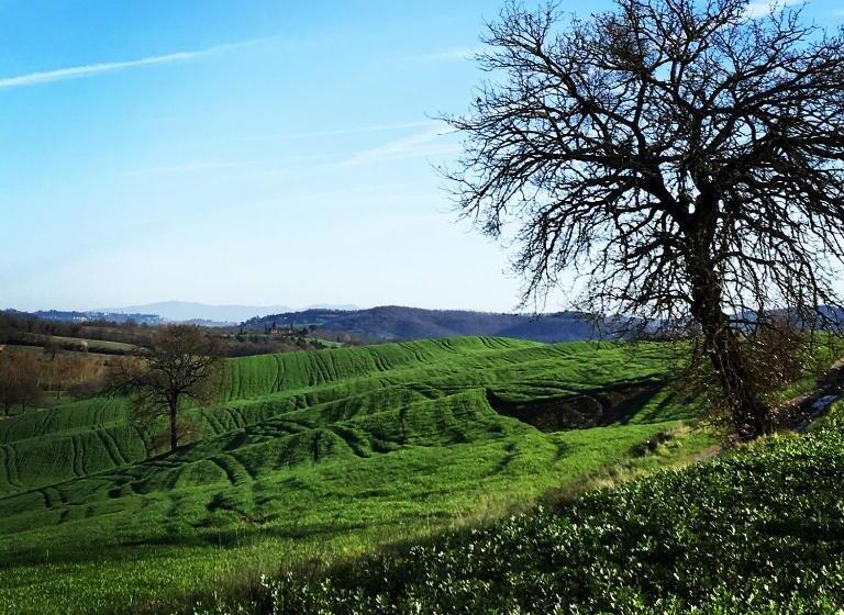 호텔 B&b Locanda Toscanini