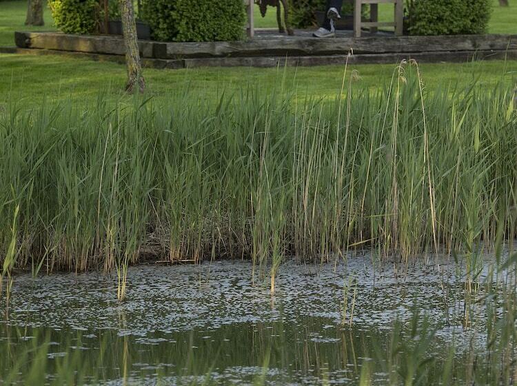 בית מלון כפרי B&b Pronkenburg