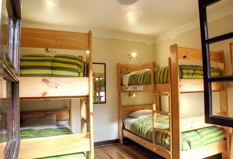 ホテル Bear Packer Cusco