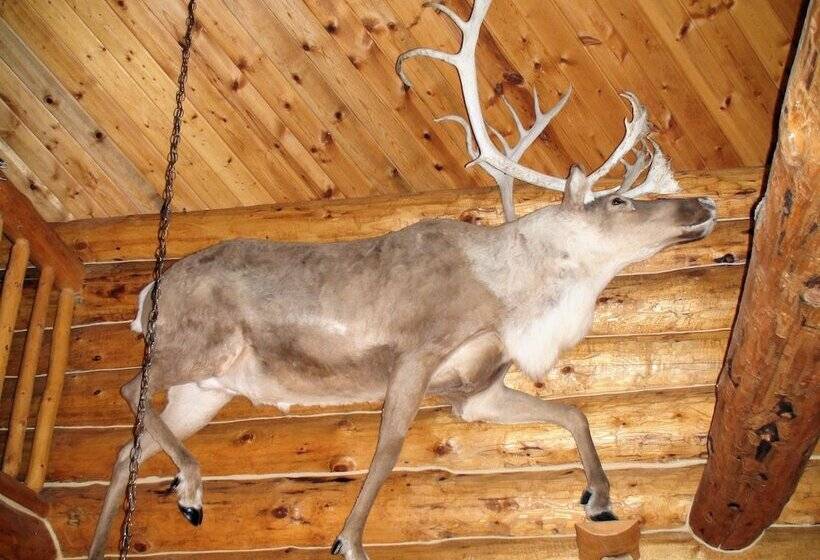 酒店 Bear Paw Adventure