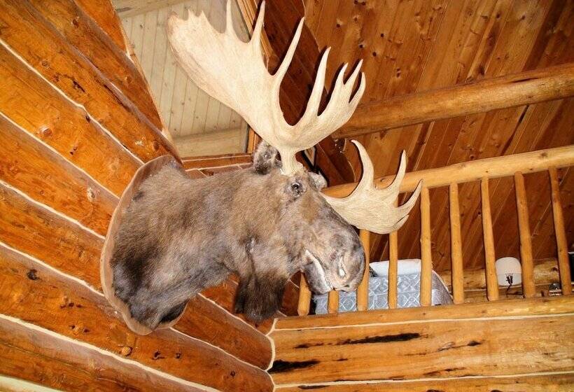 酒店 Bear Paw Adventure