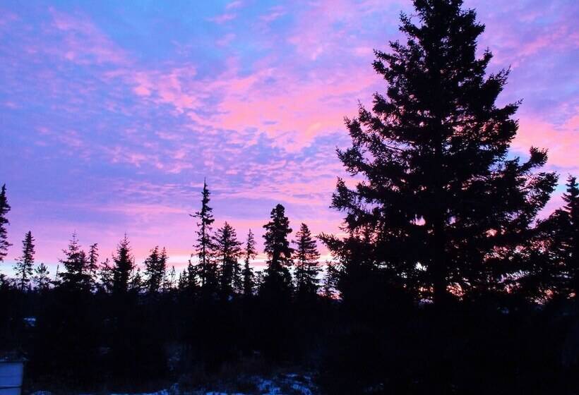 酒店 Bear Paw Adventure