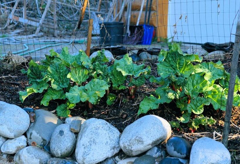 酒店 Bear Paw Adventure