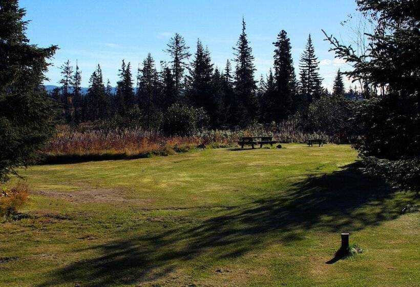 酒店 Bear Paw Adventure