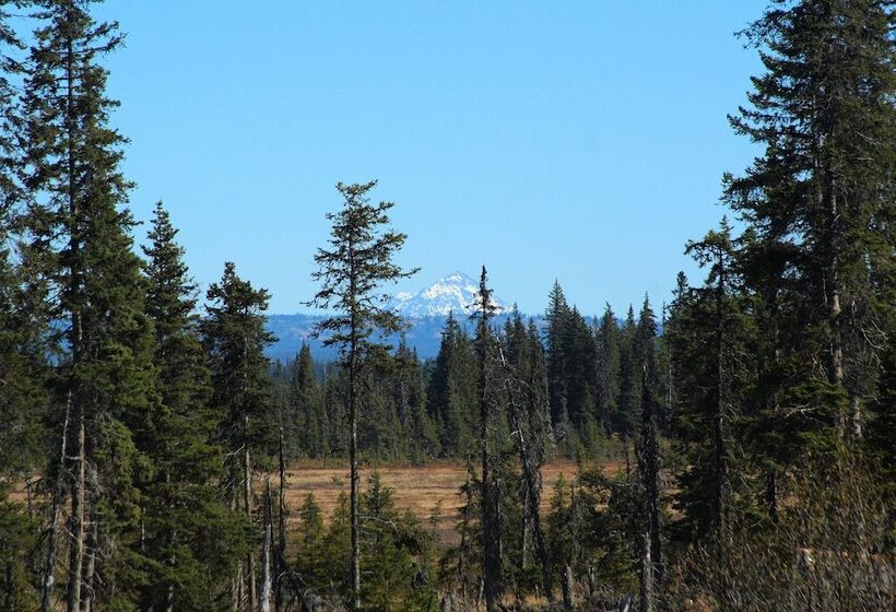 酒店 Bear Paw Adventure