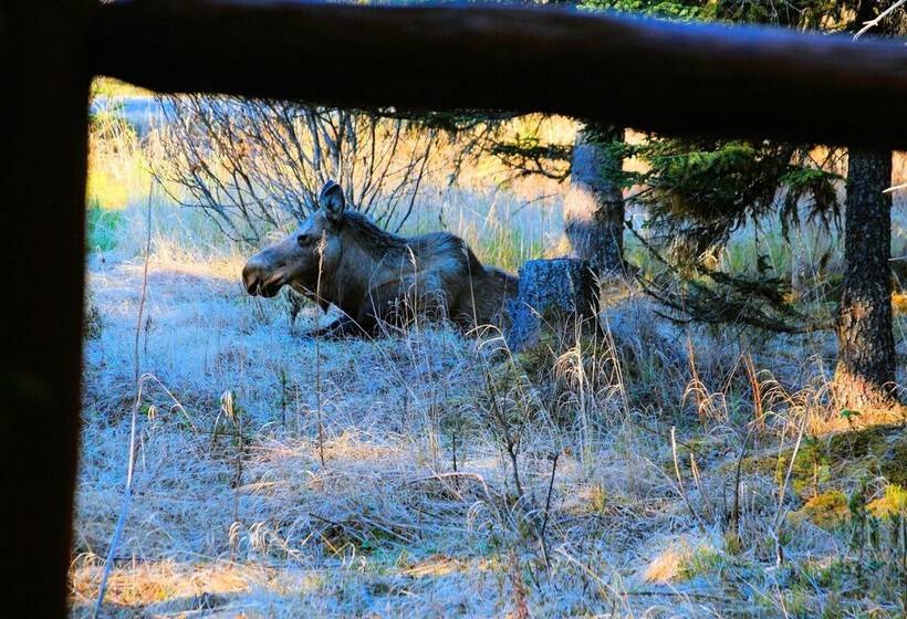 酒店 Bear Paw Adventure