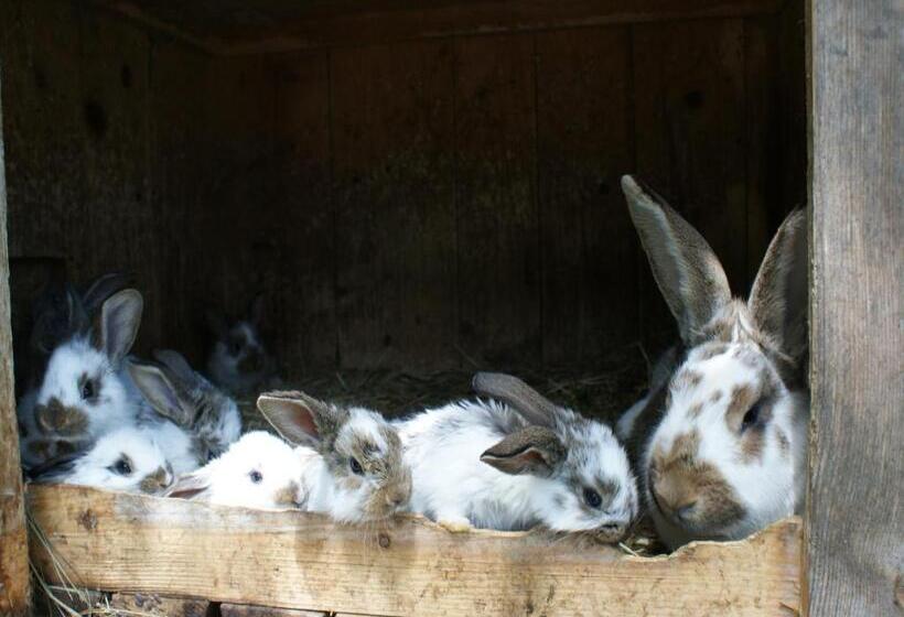 ホテル Biobauernhof Nussbaumer