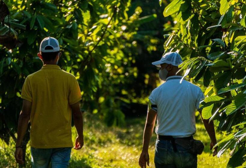 酒店 Brisas La Gaviota Mariquit Tolima