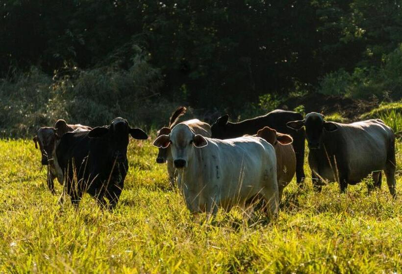 酒店 Brisas La Gaviota Mariquit Tolima