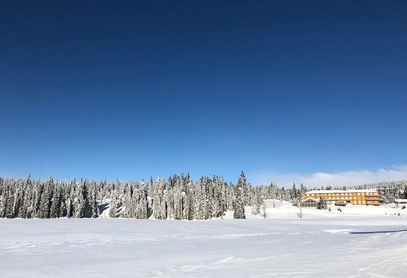 Отель Camp Lillehammer