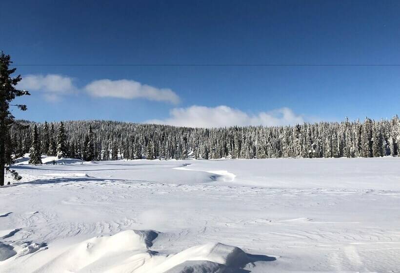 Отель Camp Lillehammer