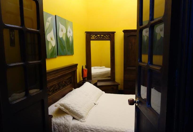 ホテル Casa Bellavista Hostel
