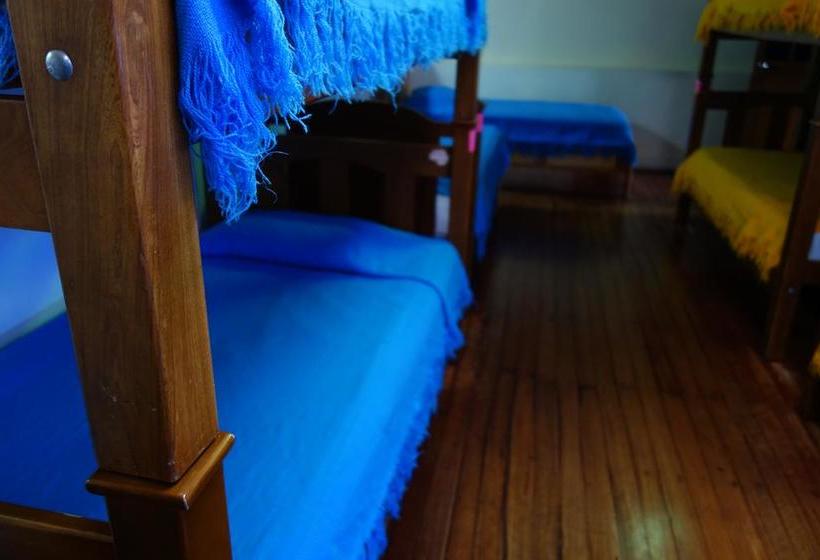 ホテル Casa Bellavista Hostel