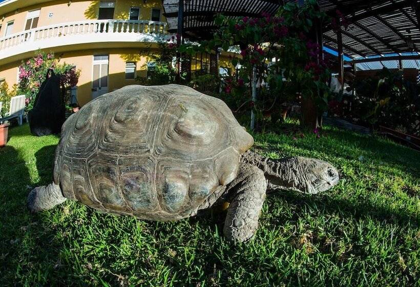 فندق Casa De Avila