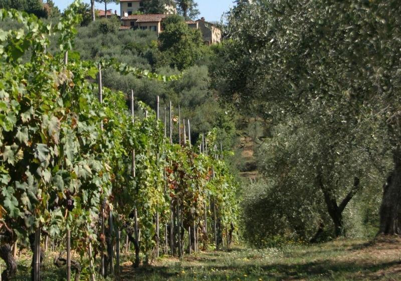 בית מלון כפרי Casa Fontanino