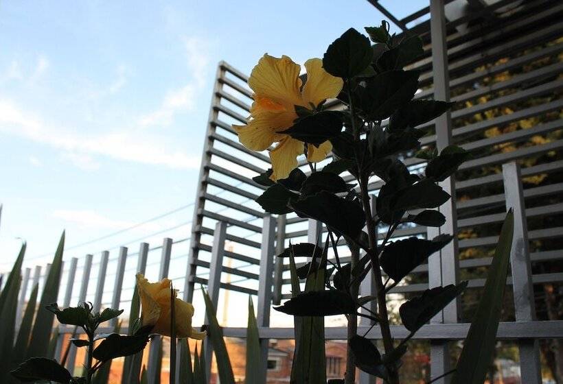 هتل Casa Posada Amelia