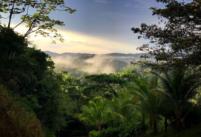 בית מלון כפרי Costa Rica Yoga Spa