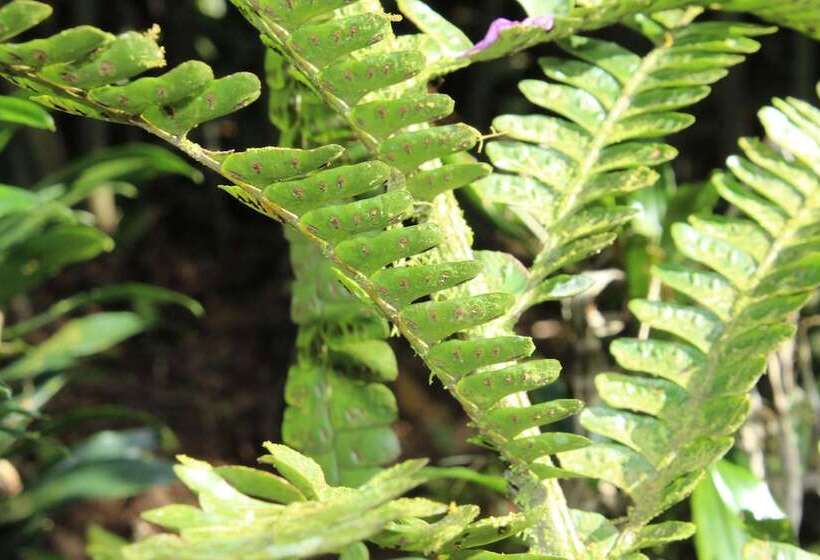 Отель El Septimo Paraiso