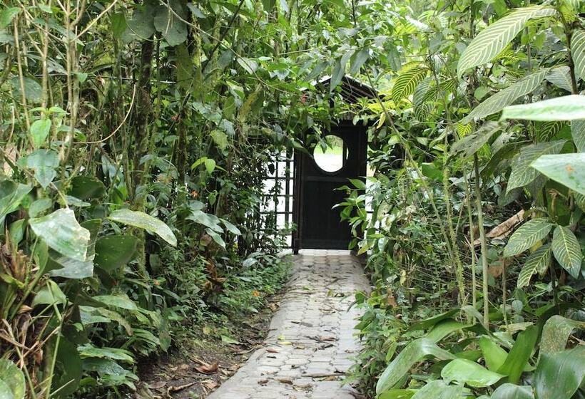 هتل El Septimo Paraiso