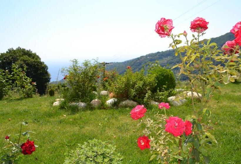 فندق Guesthouse Kapaniaris