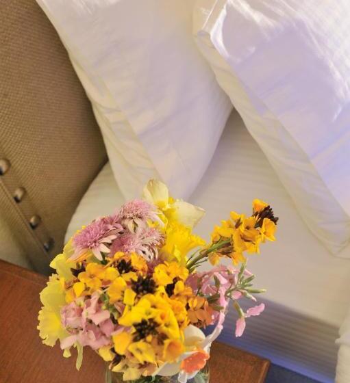 فندق Guesthouse Kapaniaris