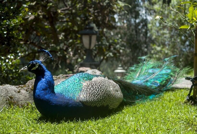 هتل Hacienda Rumiloma By Rotamundos