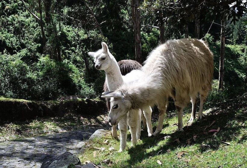 هتل Hacienda Rumiloma By Rotamundos