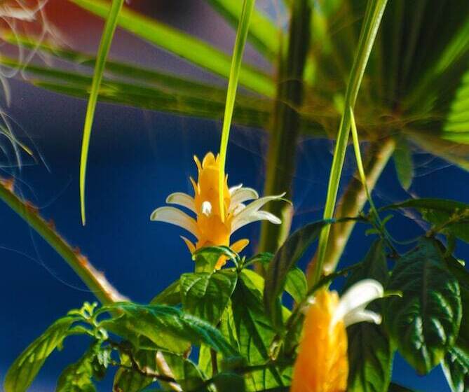 호텔 Hostal Antares