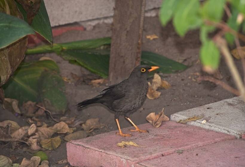 호텔 Hostal El Parque Tababela