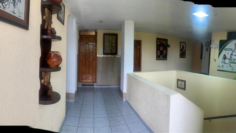 هتل Hostal Jora Continental