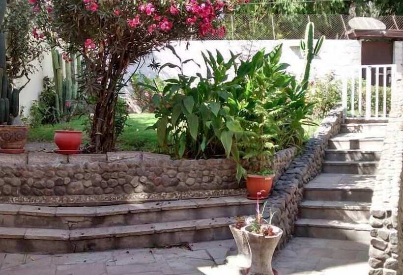 هتل Hostal Los Angeles Amigos Inn