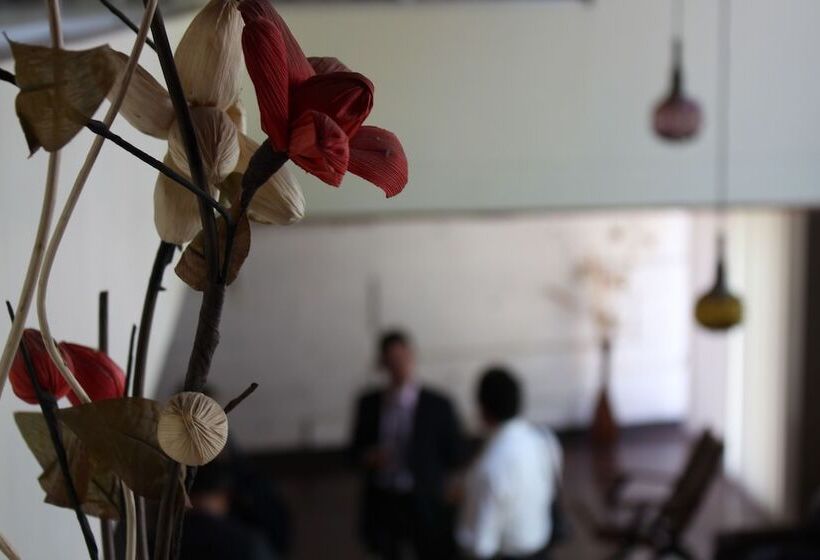 Отель Hostal Los Angeles Amigos Inn