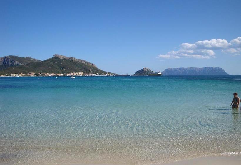 בית מלון כפרי King's