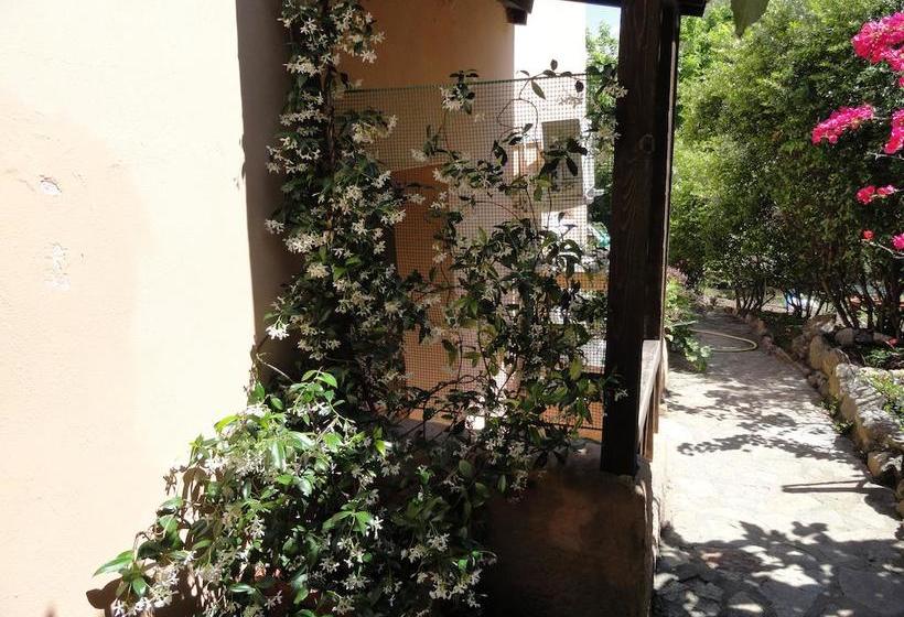 בית מלון כפרי King's