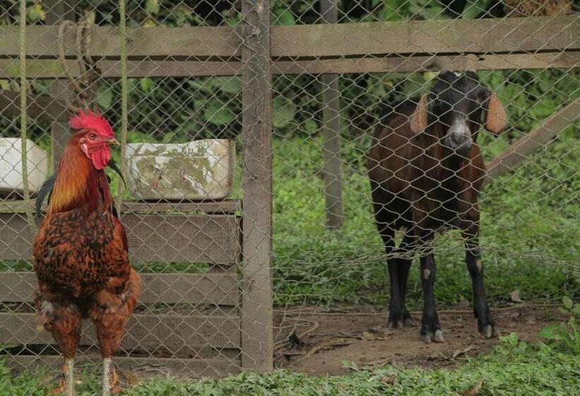 호텔 La Selva Reserva