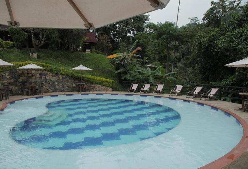 호텔 La Selva Reserva