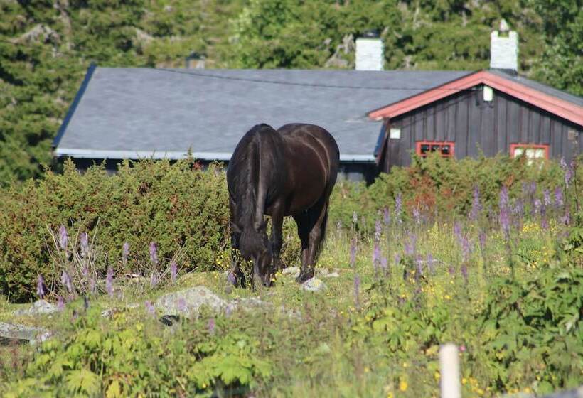 ホテル Lillehammer Fjellstue Og Hytteutleie
