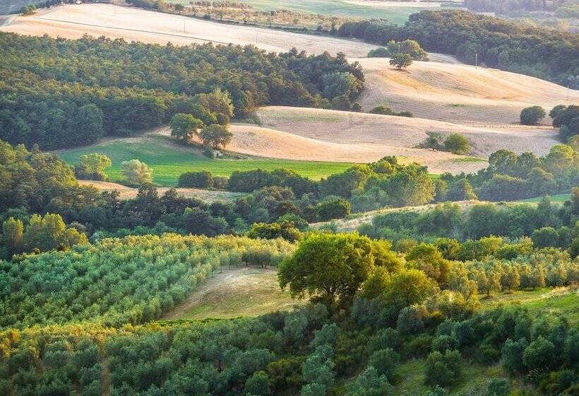 בית מלון כפרי La Locanda Di Casalmustia