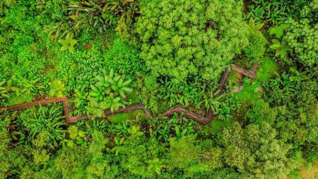 هتل Mindo Garden Lodge And Wildlife Reserve