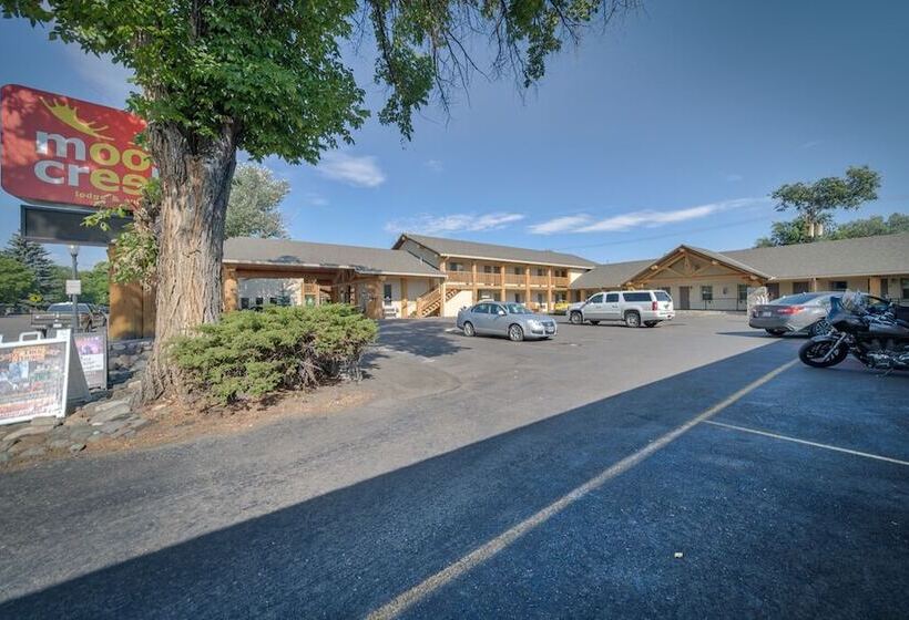 فندق Moose Creek Lodge & Suites