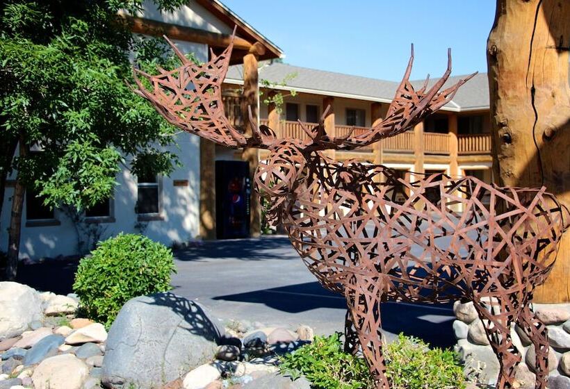 فندق Moose Creek Lodge & Suites