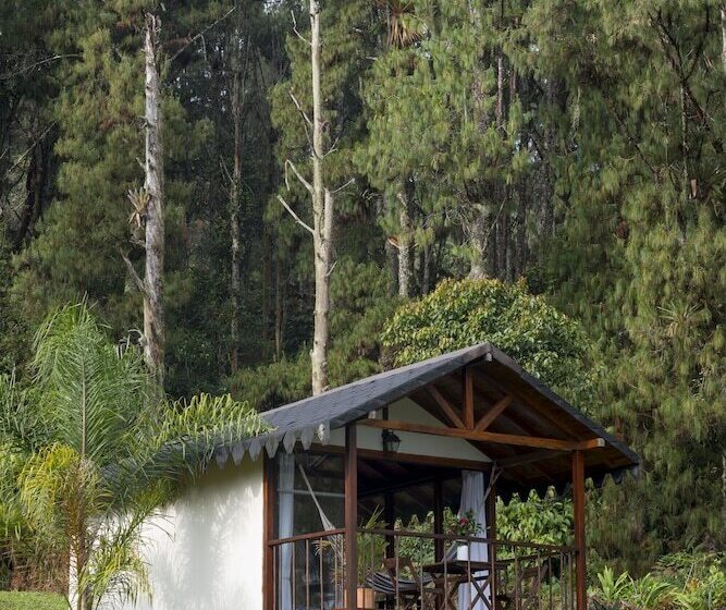 בית מלון כפרי Pietrasanta