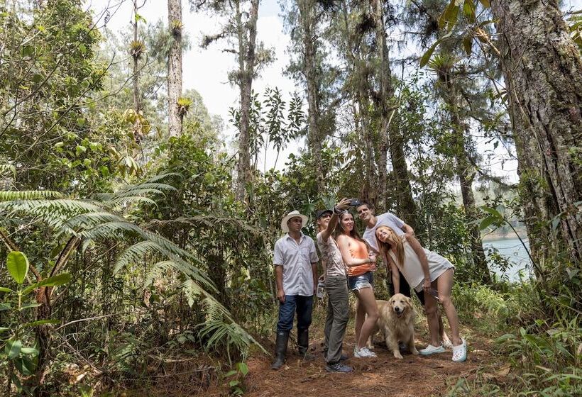 בית מלון כפרי Pietrasanta