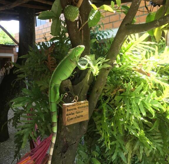 בית מלון כפרי Pizzeria Opera Tolú