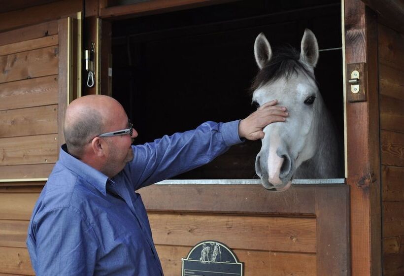 호텔 Podere Poggetto