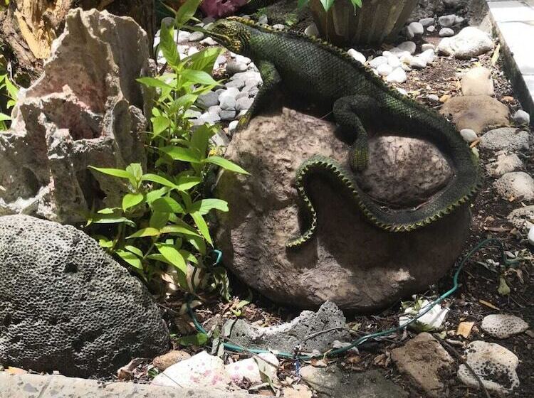 Отель Posada Edem