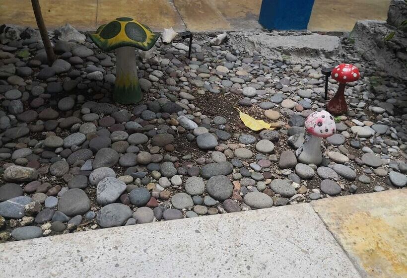 Отель Posada Edem