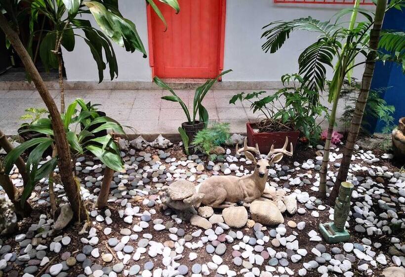 Отель Posada Edem