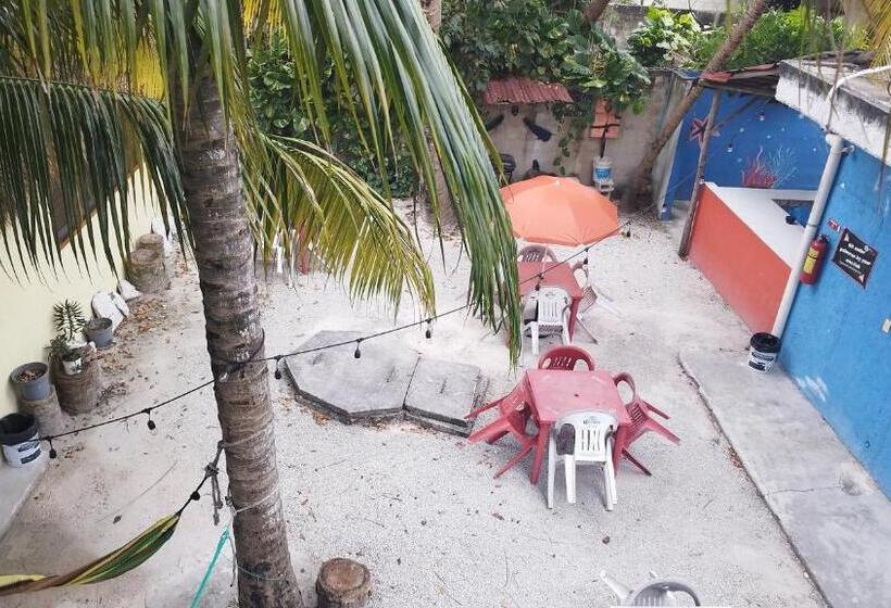 Отель Posada Edem