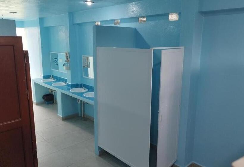 Отель Posada Edem